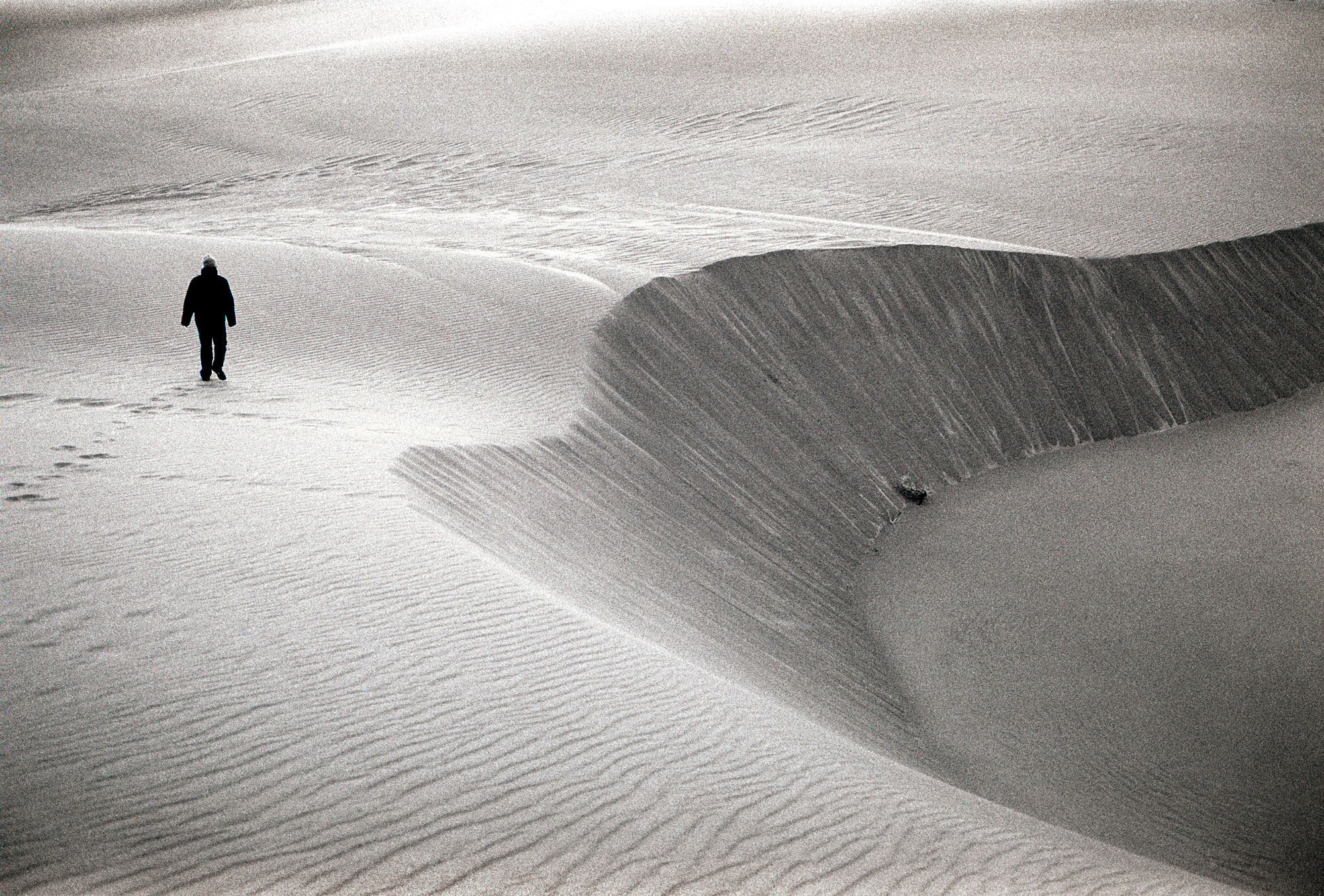 S.WESTdune-test-no_bw